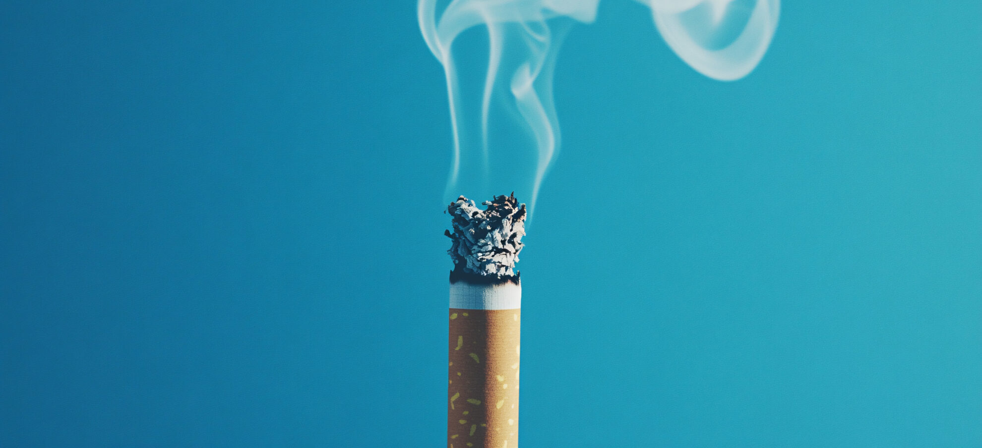 CAT Confirms Smoke and Odour as a Nuisance